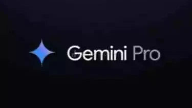 Gemini pro 18 months.